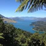 Tawhitinui Reach Marlborough Sounds. Cairnhill